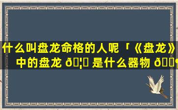 什么叫盘龙命格的人呢「《盘龙》中的盘龙 🦍 是什么器物 🐶 」